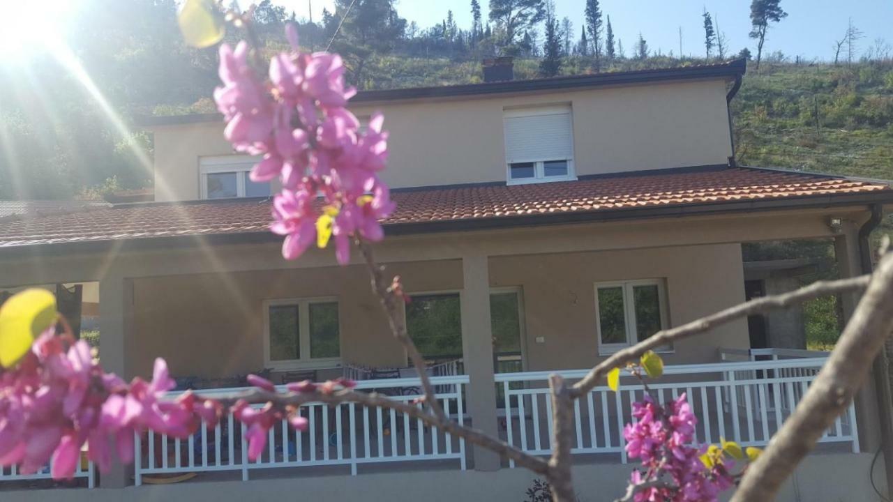 Apartment Marta Čapljina Εξωτερικό φωτογραφία