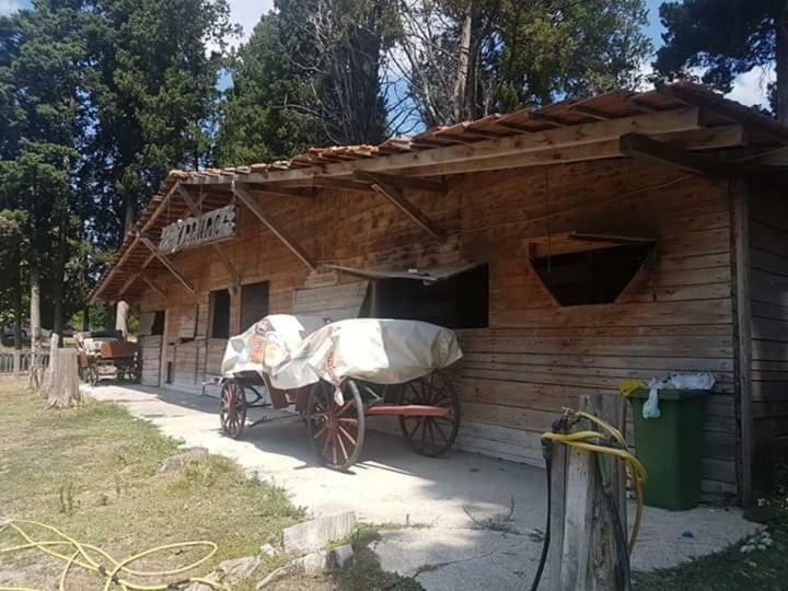 Apartment Marta Čapljina Εξωτερικό φωτογραφία