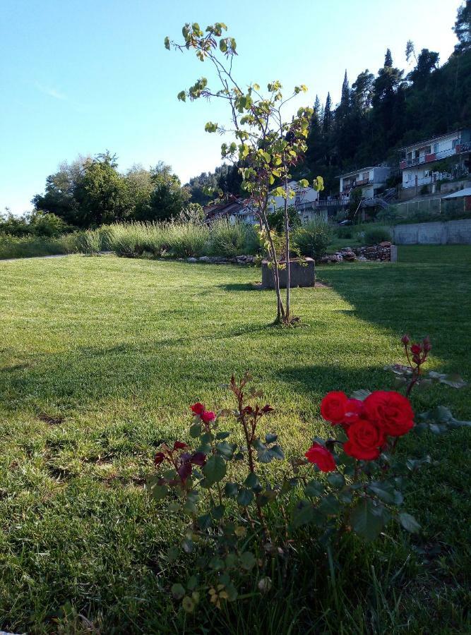 Apartment Marta Čapljina Εξωτερικό φωτογραφία