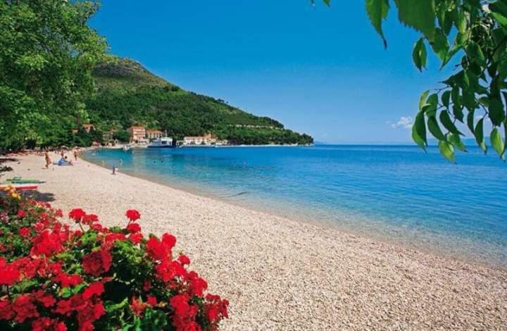 Apartment Marta Čapljina Εξωτερικό φωτογραφία